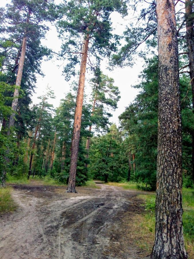 Guest House Kiev Forest 외부 사진