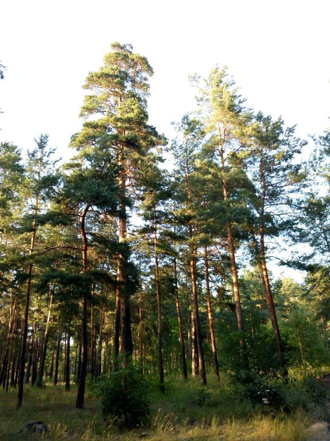 Guest House Kiev Forest 외부 사진